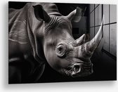 Wallfield™ - The Rhino | Glasschilderij | Gehard glas | 60 x 90 cm | Magnetisch Ophangsysteem