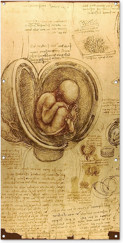 Wanddecoratie buiten Baby in the womb - Leonardo da Vinci - 80x160 cm - Tuindoek - Buitenposter