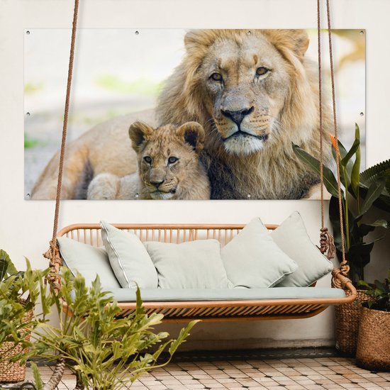 Affiche de clôture Lion - Cub - Portrait - 200x100 cm - Toile de jardin