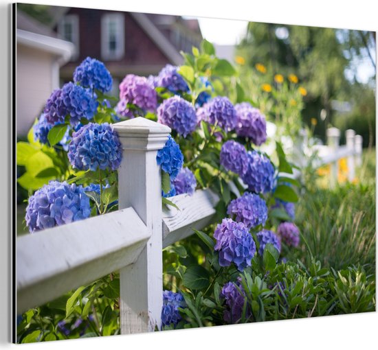 Clôture à piquets avec hortensia Aluminium 90x60 cm - Tirage photo sur aluminium (décoration murale en métal)