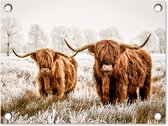 Tuin decoratie Schotse hooglander - Dieren - Stier - 40x30 cm - Tuindoek - Buitenposter