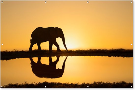 Muurdecoratie Silhouet van een olifant bij zonsondergang - 180x120 cm - Tuinposter - Tuindoek - Buitenposter