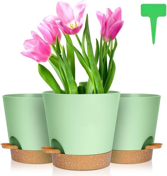 QCQHDU Bumentpotten, 20,5 cm, bloempotten voor kamerplanten, met afvoergaten en afneembare bodem, onderzetter, modern, decoratief, voor tuin