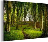 Wanddecoratie Metaal - Aluminium Schilderij Industrieel - Donkerbruin pad door het bos - 60x40 cm - Dibond - Foto op aluminium - Industriële muurdecoratie - Voor de woonkamer/slaapkamer