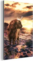 Décoration murale Métal - Peinture Aluminium Industriel - Highlander Ecossais - Coucher de Soleil - Animal - 80x120 cm - Dibond - Photo sur aluminium - Décoration murale industrielle - Pour le salon/chambre