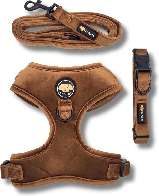 GOLEYGO Hondenriem Met Magneetsluiting – Maat S (1,4-2m) Voor Kleine Honden Tot 15 Kg, Incl. Adapterpin, Max. Belastbaar 100 Kg