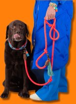 DWAM Dog with a Mission Hondenriem – Riem voor honden – Oranje – Polyester/Leer – S – 155 x 1 cm – Carrot Cake