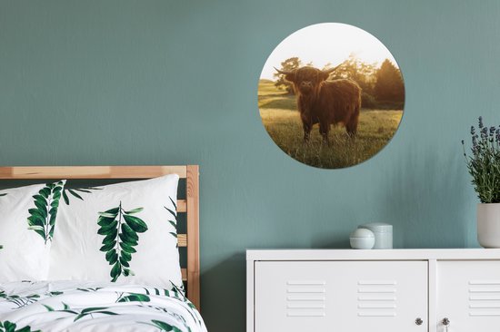 WallCircle - Stickers muraux - Cercle de papier peint - Highlander écossais - Herbe - Soleil - 50x50 cm - Cercle mural - Auto-adhésif - Sticker papier peint rond