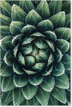 Muurdecoratie Een groene bloemdessin - 120x180 cm - Tuinposter - Tuindoek - Buitenposter