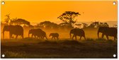 Tuinposter Kudde olifanten bij zonsopkomst - 80x40 cm - Wanddecoratie Buiten - Tuinposter - Tuindoek - Schuttingposter - Tuinschilderij
