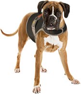 Duvoplus - Dierenvest - Hond - Veiligheidsjasje Fluo Flash Usb Large Zwart - 1st