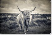 Highlander écossais laineux dans un paysage d'herbe en noir et blanc affiche de jardin en vrac 120x80 cm - Toile de jardin / Toile d'extérieur / Peintures pour l'extérieur (décoration de jardin)