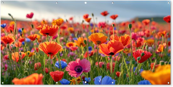 Tuinposter klaprozen - Tuindecoratie bloemen - 200x100 cm - Tuindoek - Muurdecoratie voor buiten - Schuttingposter - Tuinschilderijen - Tuinwanddecoratie klaproos - Tuinposters