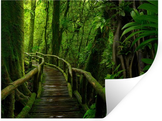 Fotobehang, bos, 3D-effect, bospad, bomen, jungle, planten, regenwoud, incl. lijm, voor woonkamer, slaapkamer, hal, vliesbehang, wandbehang