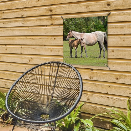 Posters de jardin Paarden - Herbe - Ombre - 50x50 cm - Toile de jardin - Affiche extérieure
