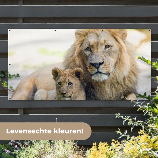 Affiche de clôture Lion - Cub - Portrait - 200x100 cm - Toile de jardin
