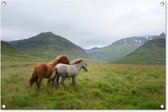 Tuinposters buiten Paarden - Gras - Bergen - 90x60 cm - Tuindoek - Buitenposter