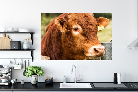 Stickers muraux - Film autocollant - Highlander écossais - Berg - Clôture - 120x80 cm - Film adhésif - Stickers muraux chambre d'enfant - Papier peint autocollant - Papier peint autocollant - Film autocollant