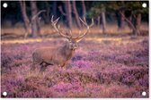 Tuindecoratie Hert - Bloemen - Nederland - 60x40 cm - Tuinposter - Tuindoek - Buitenposter