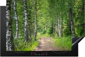 KitchenYeah® Inductie beschermer 81x52 cm - Bos - Bomen - Berk - Kookplaataccessoires - Afdekplaat voor kookplaat - Inductiebeschermer - Inductiemat - Inductieplaat mat