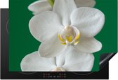 KitchenYeah® Inductie beschermer 77x51 cm - Orchidee met groene achtergrond - Kookplaataccessoires - Afdekplaat voor kookplaat - Inductiebeschermer - Inductiemat - Inductieplaat mat