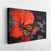 Onlinecanvas - Schilderij - Monarch Een Bloem Art Horizontaal Horizontal - Multicolor - 80 X 60 Cm