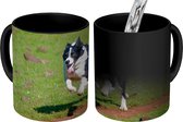 Magische Mok - Foto op Warmte Mok - Een actieve border collie die over het veld rent - 350 ML