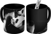 Magische Mok - Foto op Warmte Mokken - Koffiemok - Panda's - Zwart - Wit - Magic Mok - Beker - 350 ML - Theemok