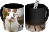 Magische Mok - Foto op Warmte Mok - Konijn - Baby - Eten - 350 ML