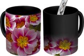 Magische Mok - Foto op Warmte Mok - Boeket met roze primula's - 350 ML