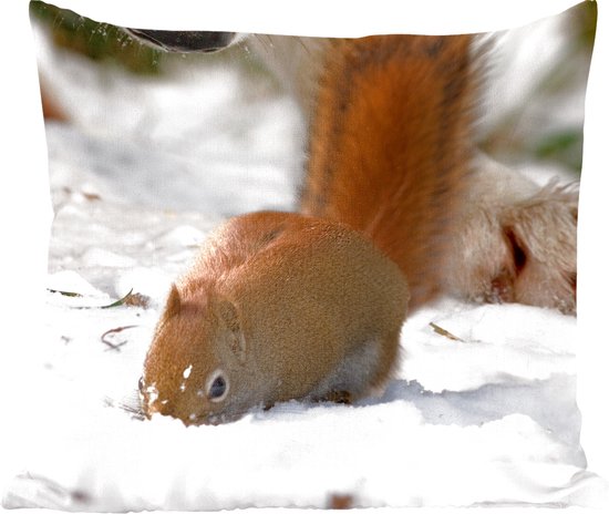 Sierkussens - Kussentjes Woonkamer - 60x60 cm - Eekhoorn - Wolf - Sneeuw - Winter - Kerstversiering - Kerstdecoratie voor binnen - Woonkamer