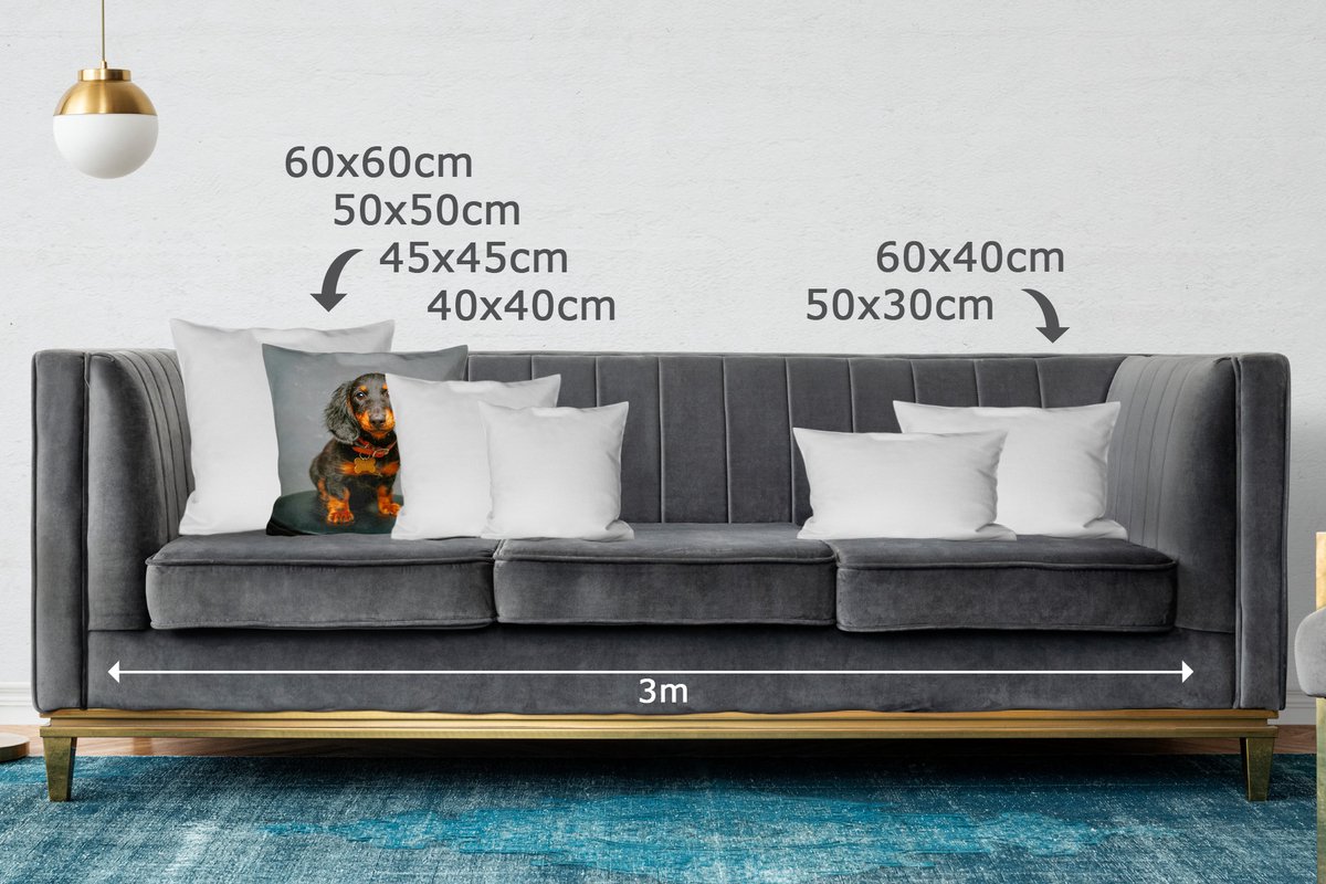 Pootje van Beau! 🐶 Waf waf! Beau de teckel hier. Ik wens jullie allemaal een vrolijke vrijdag