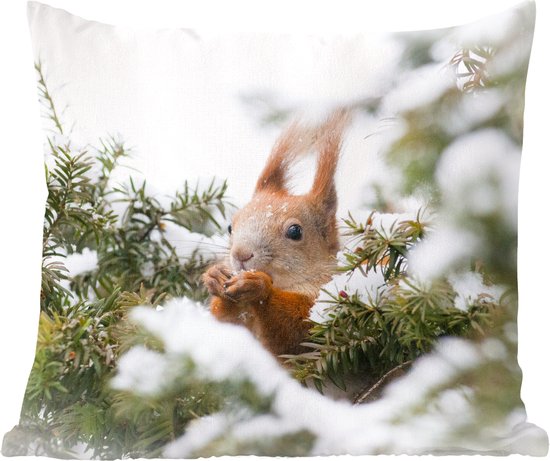 Sierkussens - Kussentjes Woonkamer - 50x50 cm - Eekhoorn - Den - Sneeuw - Kerstversiering - Kerstdecoratie voor binnen - Woonkamer
