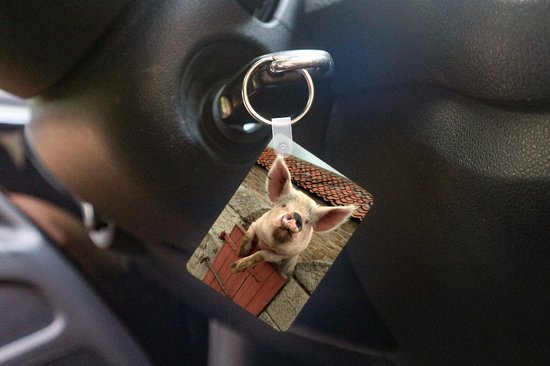 Porte-clés Cochon - Porte-clés cochon rose en plastique - Porte-clés rectangulaire avec photo