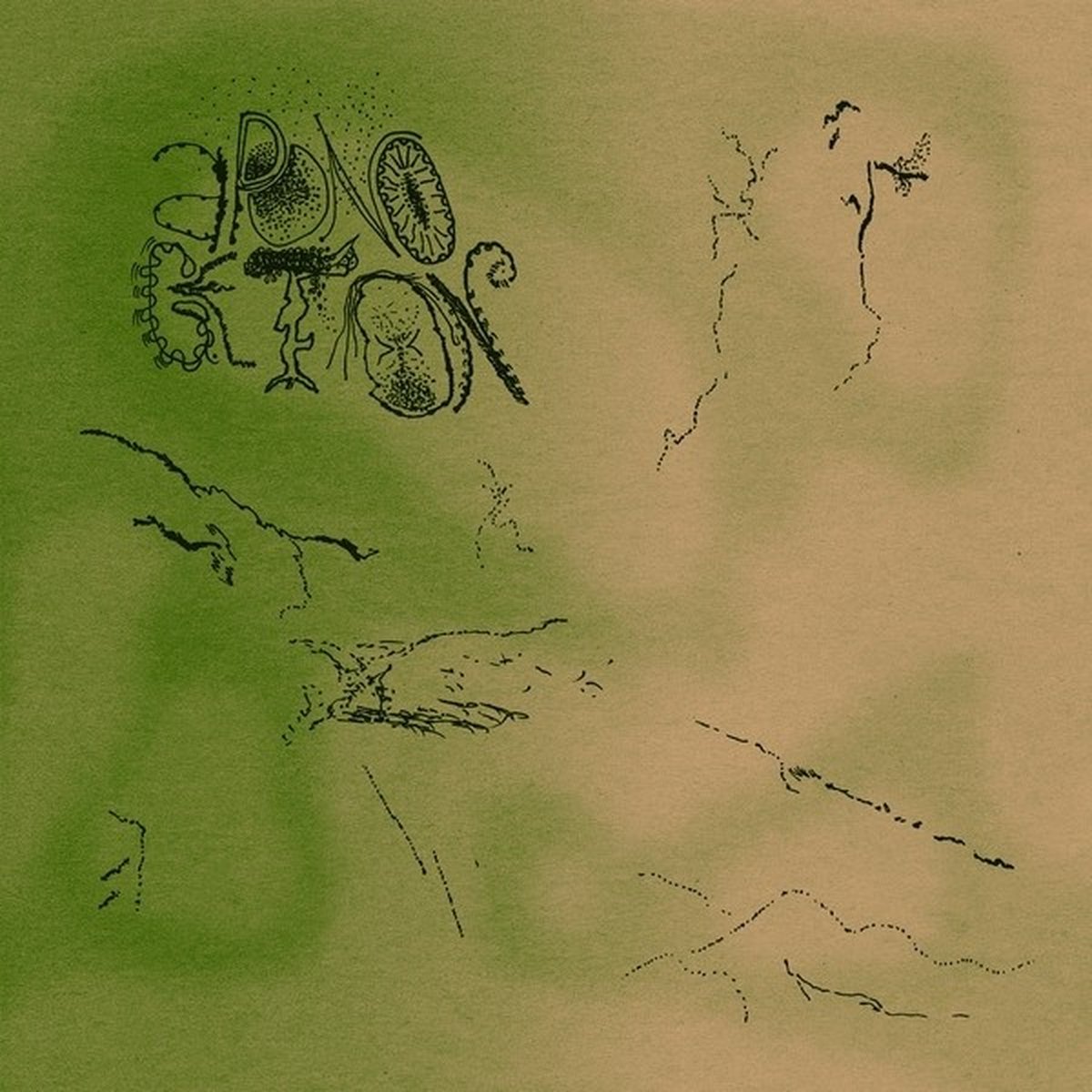 Aponogeton - A Place Of Solace (LP)