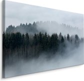Schilderij - Mistig bos, grijs, 4 maten, wanddecoratie
