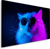 Schilderij - Cool Cat, paars/blauw, 4 maten, premium print