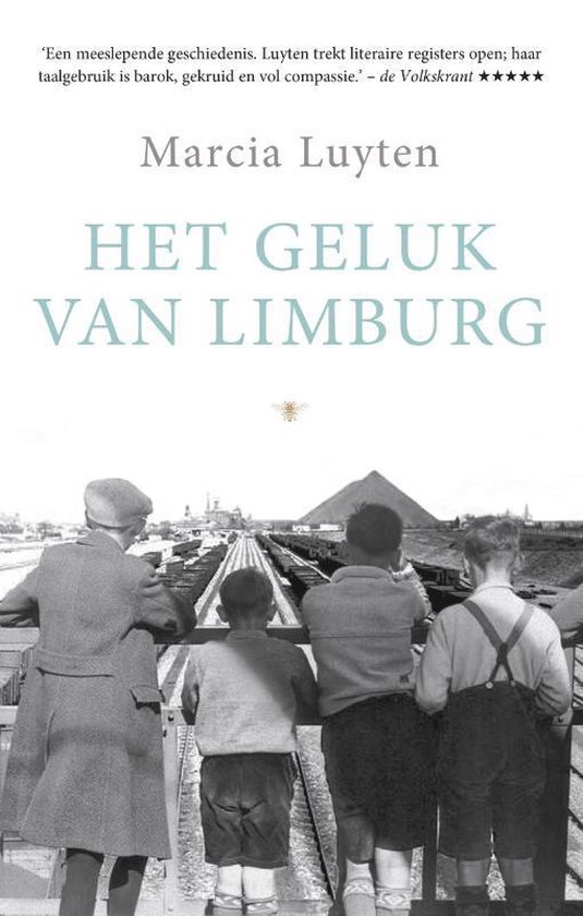 Boek: Het geluk van Limburg, geschreven door Marcia Luyten