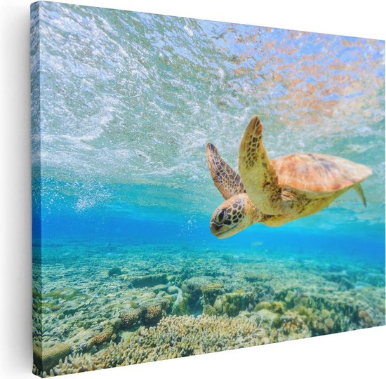 Artaza - Peinture sur toile - Tortue nage dans la mer au récif - 80x60 - Photo sur toile - Impression sur toile