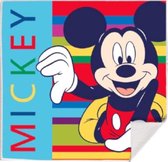 strandlaken Mickey & Minnie Mouse junior 30 cm katoen