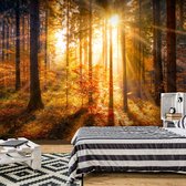 Zelfklevend fotobehang -  Ontwaken van de Herfst in een bos  , Premium Print