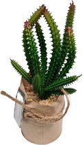 Gifts Amsterdam Kunstplant Euphorbia 19 Cm Zijde Groen