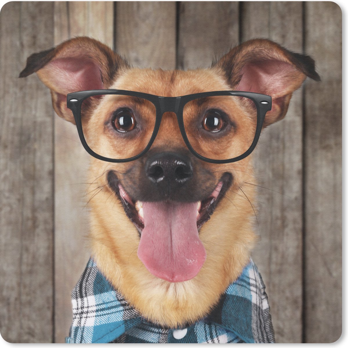 Muismat 20x20 cm - Mousepad Hond - Bril - Blouse - Hipster - Muismatten
