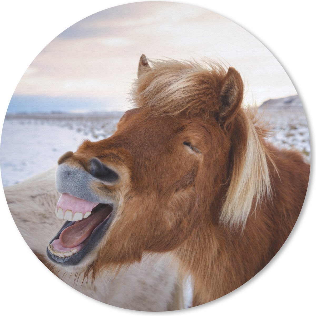 Muismat rond 50x50 cm - Mousepad Paard - Strand - Bruin - Ronde muismatten