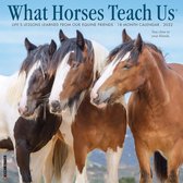 What Horses Teach Us Kalender 2022