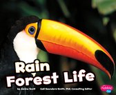 Habitats around the World - Rain Forest Life