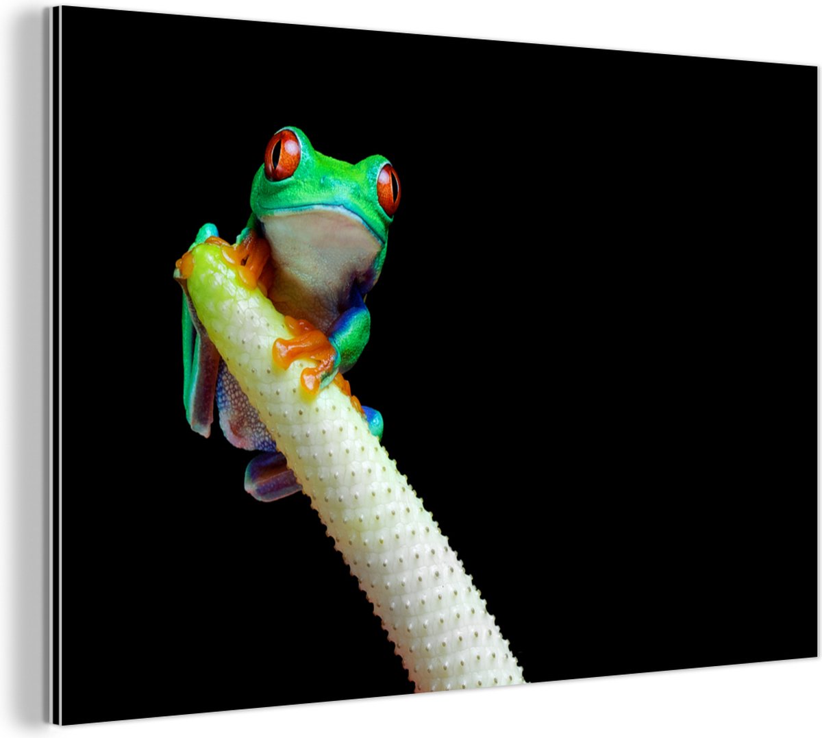 JYCRA Décoration De Jardin En Forme De Grenouille à énergie Solaire - Décoration De Jardin Amusante - Grenouille Mignonne à Suspendre