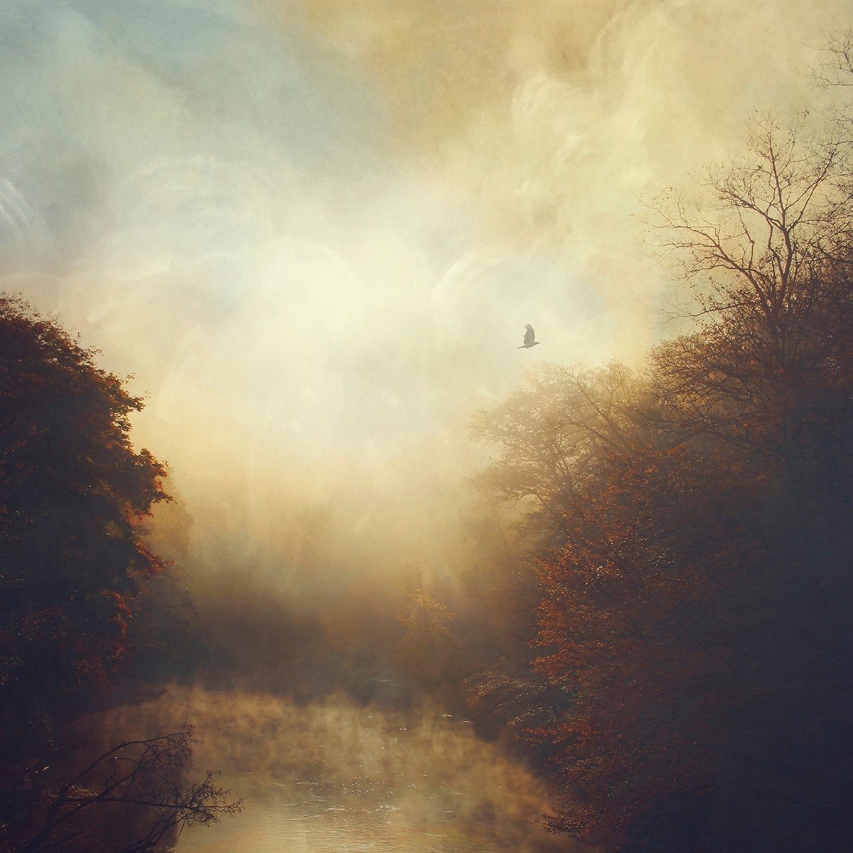 Stray Theories - This Light (LP) (Limited Edition) (Coloured Vinyl)