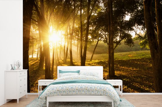 Papier peint vinyle - Le soleil d'automne se lève dans une forêt sombre largeur 420 cm x hauteur 280 cm - Tirage photo sur papier peint (disponible en 7 tailles)