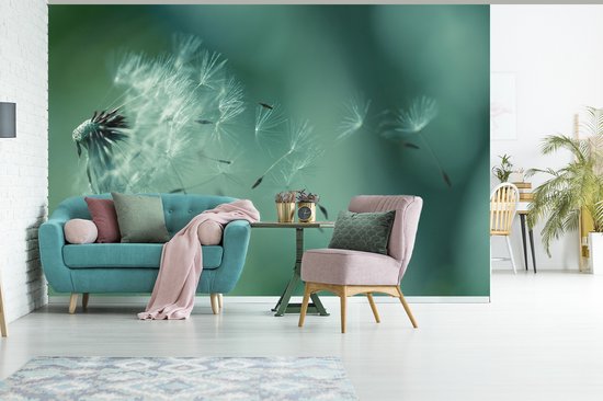 Graines de fotobehang de pissenlit